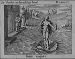 Pieter Cornelisz. Hooft, Emblemata amatoria