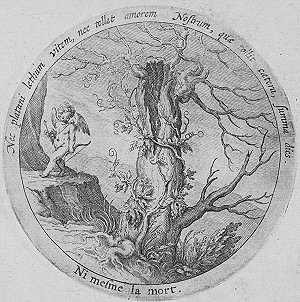 Een van de emblemen uit Heinsius' Emblemata 
Amatoria