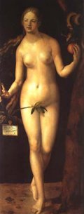 Eve, by A. Dürer (1507). For more information, go to http://www.spanisharts.com/prado/durer.htm